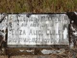 image of grave number 651889